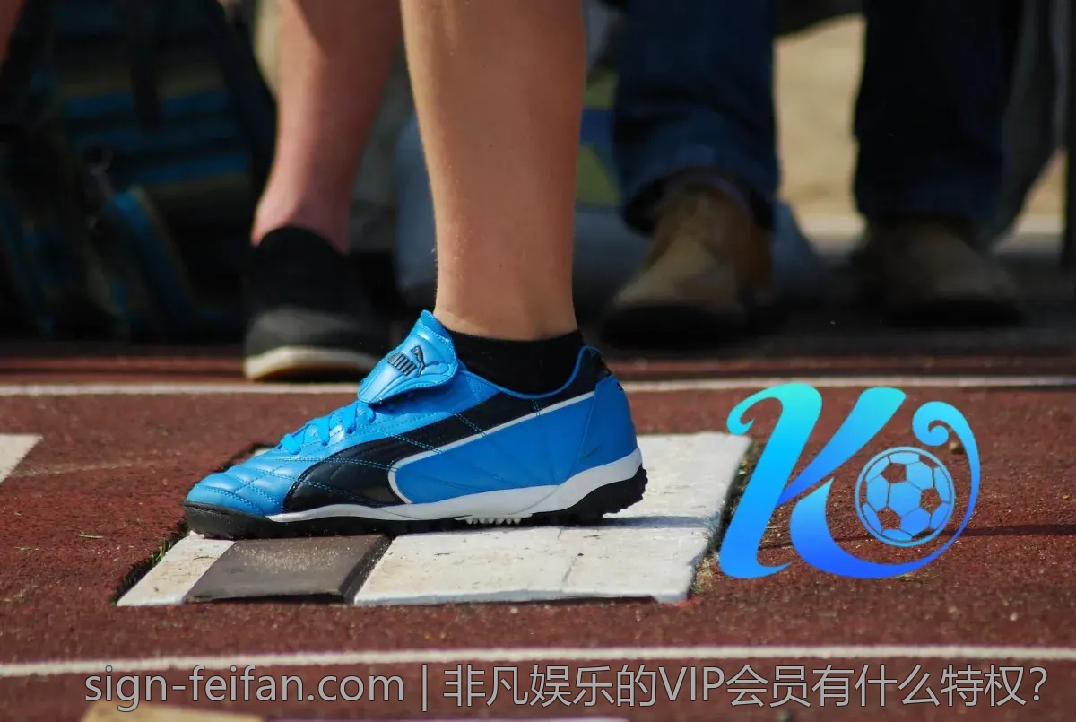 小白如何在非凡娱乐中成长为高手