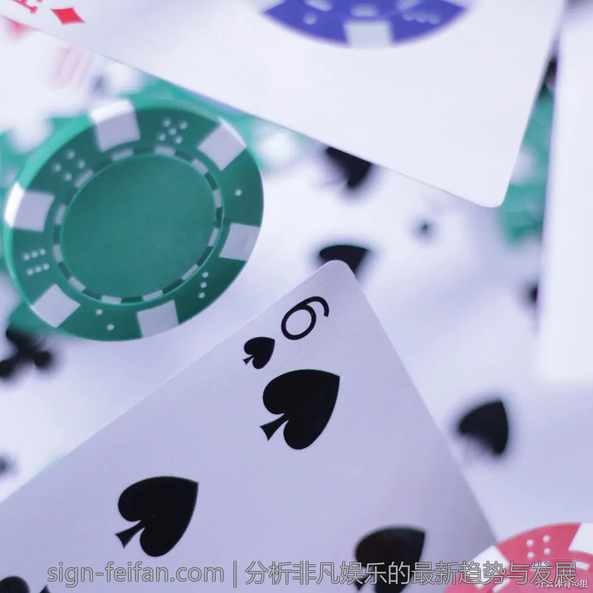 分析非凡娱乐的最新趋势与发展