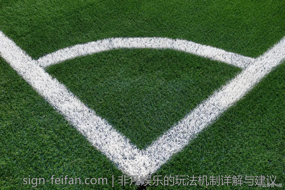 非凡娱乐的玩法机制详解与建议