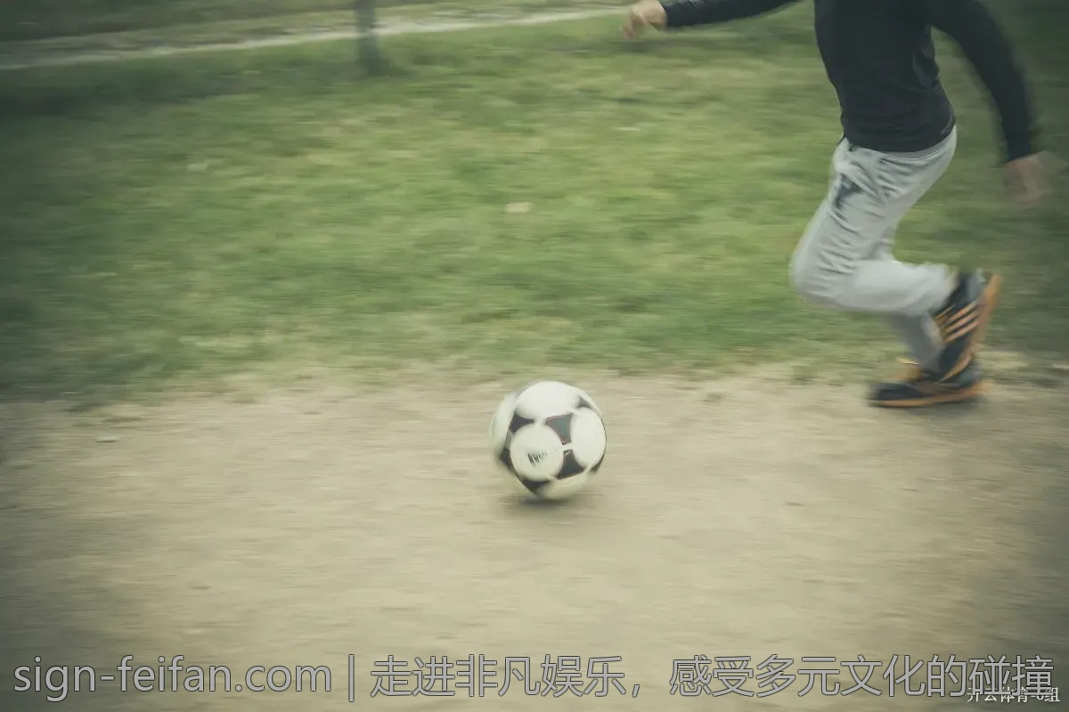 走进非凡娱乐，感受多元文化的碰撞