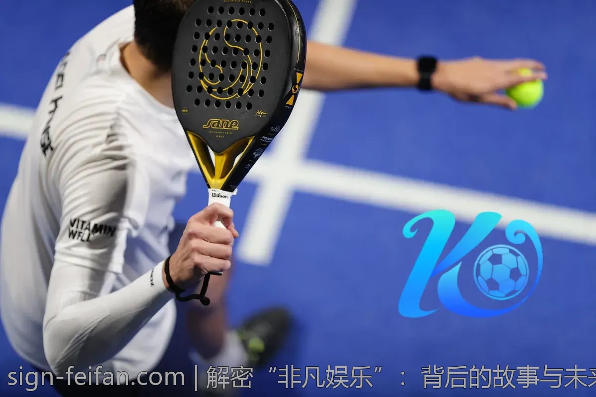 解密“非凡娱乐”：背后的故事与未来